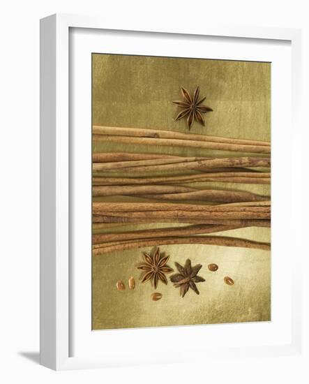 Christmas Spices (Cinnamon Sticks and Star Anise)-Achim Sass-Framed Photographic Print