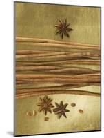 Christmas Spices (Cinnamon Sticks and Star Anise)-Achim Sass-Mounted Photographic Print