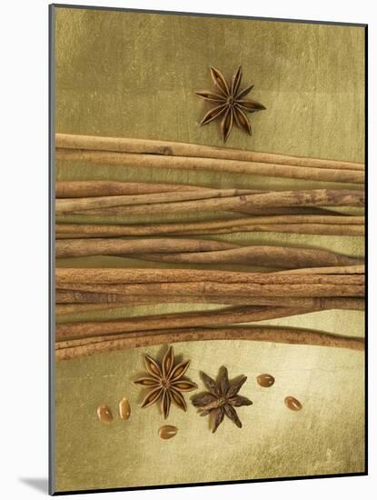 Christmas Spices (Cinnamon Sticks and Star Anise)-Achim Sass-Mounted Photographic Print