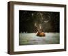 Christmas Stag, 2019,-Helen White-Framed Giclee Print