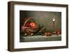 Christmas Still Life with Ginger Biscuits-Marta Teron-Framed Photographic Print