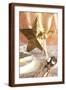 Brown Frame
