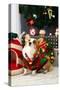 Christmas Themed Pets, Pets in Christmas Clothes, Festive Theme, Close-Up-WENFENG QUAN-Stretched Canvas