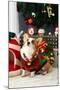 Christmas Themed Pets, Pets in Christmas Clothes, Festive Theme, Close-Up-WENFENG QUAN-Mounted Photographic Print