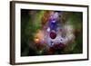 Christmas Time 3-RUNA-Framed Giclee Print