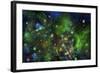 Christmas Time 8-RUNA-Framed Giclee Print