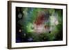 Christmas Time-RUNA-Framed Giclee Print