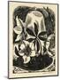 Christmas Toses, 1928 (Wood Engraving)-John Northcote Nash-Mounted Giclee Print