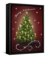 Christmas Tree 5-Tina Nichols-Framed Stretched Canvas