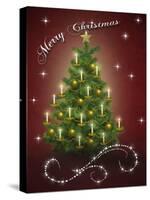 Christmas Tree 5-Tina Nichols-Stretched Canvas