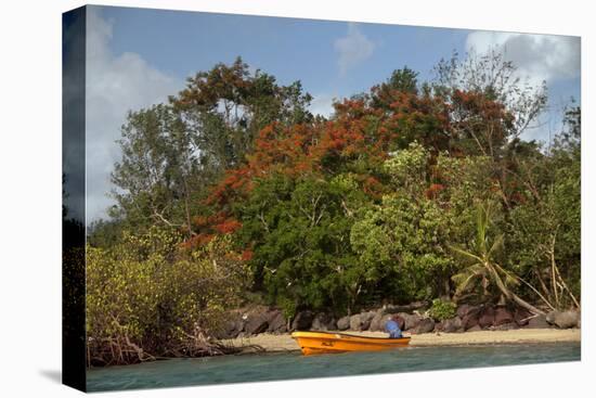 Christmas Tree and Orange Skiff, Turtle Island, Yasawa Islands, Fiji.-Roddy Scheer-Stretched Canvas