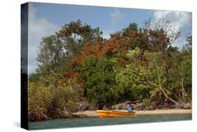 Christmas Tree and Orange Skiff, Turtle Island, Yasawa Islands, Fiji.-Roddy Scheer-Stretched Canvas