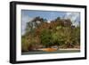 Christmas Tree and Orange Skiff, Turtle Island, Yasawa Islands, Fiji.-Roddy Scheer-Framed Photographic Print