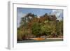 Christmas Tree and Orange Skiff, Turtle Island, Yasawa Islands, Fiji.-Roddy Scheer-Framed Photographic Print