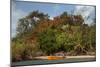 Christmas Tree and Orange Skiff, Turtle Island, Yasawa Islands, Fiji.-Roddy Scheer-Mounted Photographic Print