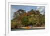 Christmas Tree and Orange Skiff, Turtle Island, Yasawa Islands, Fiji.-Roddy Scheer-Framed Photographic Print