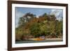 Christmas Tree and Orange Skiff, Turtle Island, Yasawa Islands, Fiji.-Roddy Scheer-Framed Photographic Print