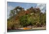 Christmas Tree and Orange Skiff, Turtle Island, Yasawa Islands, Fiji.-Roddy Scheer-Framed Photographic Print