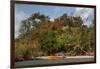 Christmas Tree and Orange Skiff, Turtle Island, Yasawa Islands, Fiji.-Roddy Scheer-Framed Photographic Print