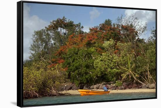 Christmas Tree and Orange Skiff, Turtle Island, Yasawa Islands, Fiji.-Roddy Scheer-Framed Stretched Canvas