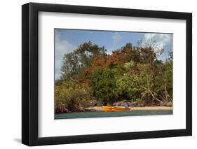 Christmas Tree and Orange Skiff, Turtle Island, Yasawa Islands, Fiji.-Roddy Scheer-Framed Photographic Print