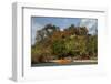 Christmas Tree and Orange Skiff, Turtle Island, Yasawa Islands, Fiji.-Roddy Scheer-Framed Photographic Print