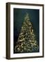 Christmas Tree at Night-Cora Niele-Framed Giclee Print