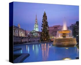 Christmas tree at Trafalgar Square, London, England, United Kingdom of Great Britain-null-Stretched Canvas