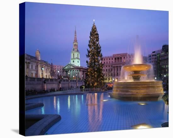Christmas tree at Trafalgar Square, London, England, United Kingdom of Great Britain-null-Stretched Canvas