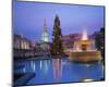 Christmas tree at Trafalgar Square, London, England, United Kingdom of Great Britain-null-Mounted Art Print