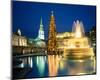 Christmas tree at Trafalgar Square, London, South England, Great Britain-null-Mounted Art Print