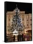 Christmas Tree, Baroque Building and Stalls at Christmas Market, Linz, Austria-Richard Nebesky-Framed Stretched Canvas