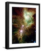 Christmas Tree Cluster-Stocktrek Images-Framed Premium Photographic Print