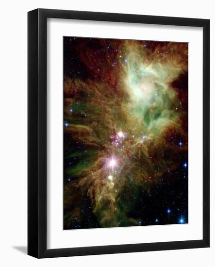 Christmas Tree Cluster-Stocktrek Images-Framed Premium Photographic Print