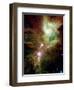 Christmas Tree Cluster-Stocktrek Images-Framed Photographic Print