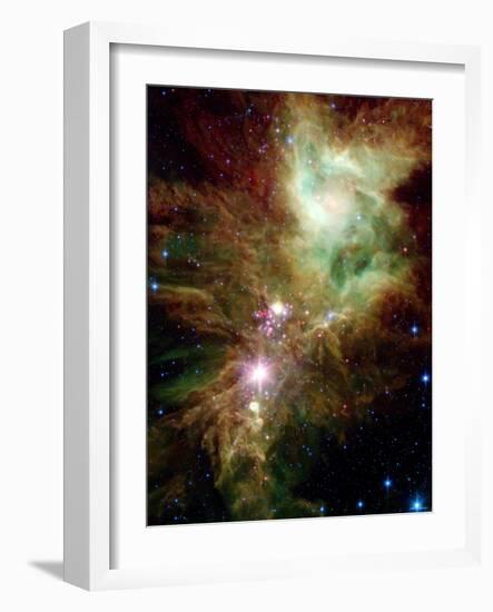 Christmas Tree Cluster-Stocktrek Images-Framed Photographic Print