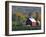 Christmas Tree Farm near Springfield in Autumn, Vermont, USA-Julie Eggers-Framed Photographic Print