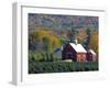 Christmas Tree Farm near Springfield in Autumn, Vermont, USA-Julie Eggers-Framed Photographic Print