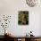 Christmas Tree, Haute Savoie, France, Europe-Godong-Stretched Canvas displayed on a wall