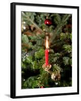 Christmas Tree, Haute Savoie, France, Europe-Godong-Framed Photographic Print