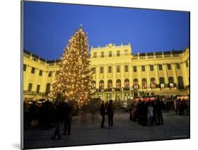 Christmas Tree in Front of Schonbrunn Palace at Dusk, Unesco World Heritage Site, Vienna, Austria-Jean Brooks-Mounted Photographic Print