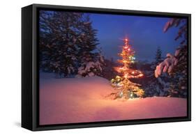 Christmas Tree in Snow with Lights-null-Framed Stretched Canvas