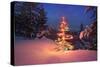 Christmas Tree in Snow with Lights-null-Stretched Canvas