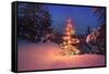 Christmas Tree in Snow with Lights-null-Framed Stretched Canvas