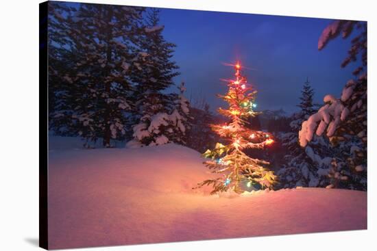 Christmas Tree in Snow with Lights-null-Stretched Canvas