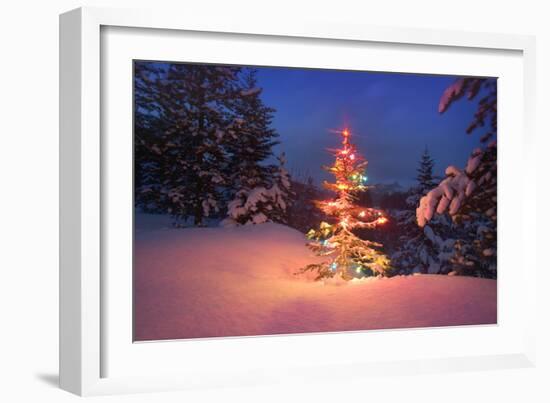 Christmas Tree in Snow with Lights-null-Framed Photographic Print