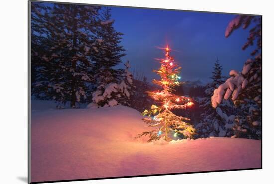 Christmas Tree in Snow with Lights-null-Mounted Photographic Print