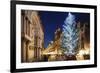 Christmas Tree in St. Marks Square, San Marco, Venice, UNESCO World Heritage Site, Veneto, Italy-Christian Kober-Framed Photographic Print