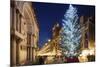 Christmas Tree in St. Marks Square, San Marco, Venice, UNESCO World Heritage Site, Veneto, Italy-Christian Kober-Mounted Photographic Print