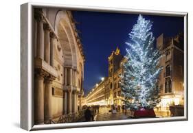 Christmas Tree in St. Marks Square, San Marco, Venice, UNESCO World Heritage Site, Veneto, Italy-Christian Kober-Framed Photographic Print